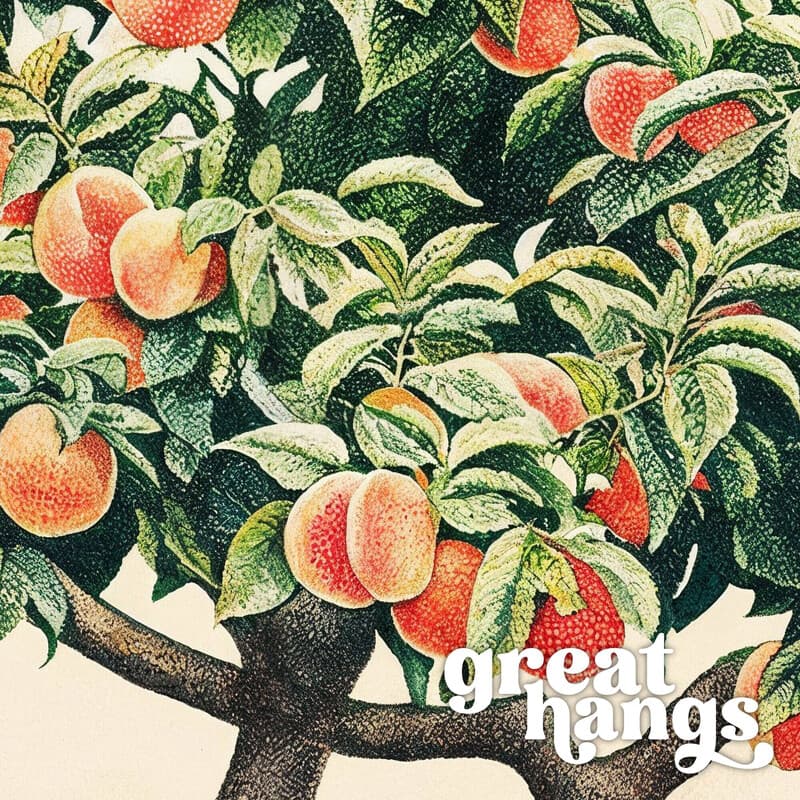 Closeup view of A botanical colored pencil illustration, a peach tree