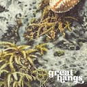 Closeup view of A vintage pastel pencil illustration, a starfish on a mossy rock