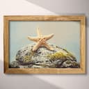 Full frame view of A vintage pastel pencil illustration, a starfish on a mossy rock