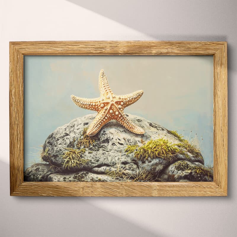 Full frame view of A vintage pastel pencil illustration, a starfish on a mossy rock