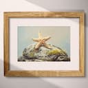 Matted frame view of A vintage pastel pencil illustration, a starfish on a mossy rock