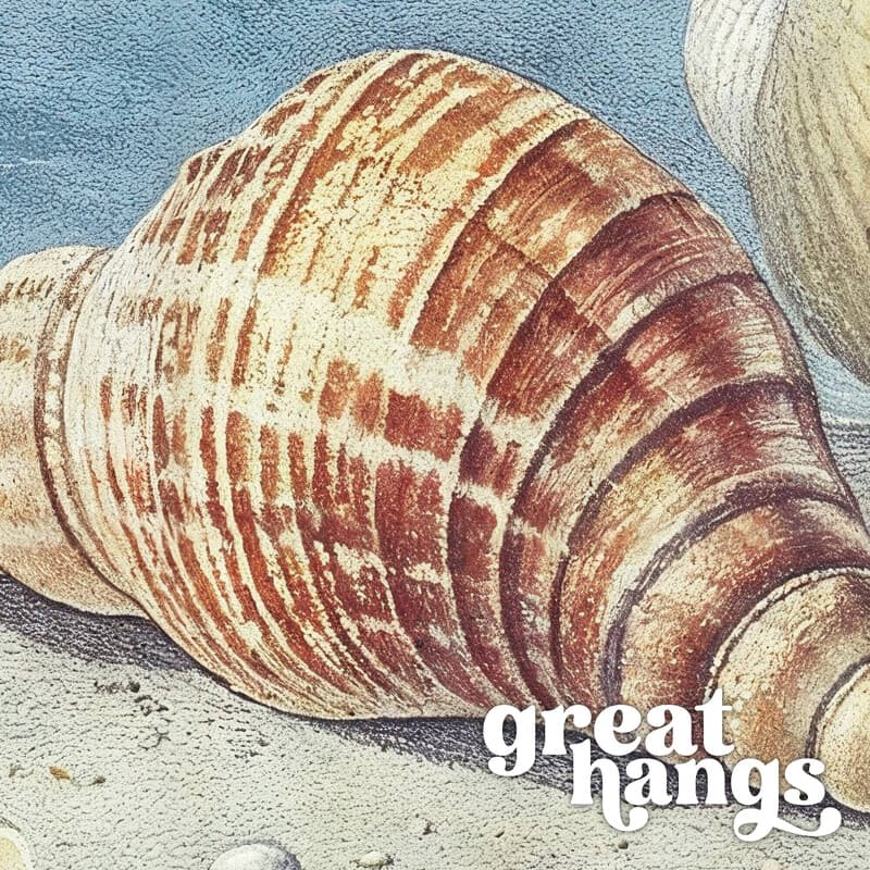 Closeup view of A vintage pastel pencil illustration, seashells on a beach