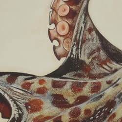 Octopus Art | Marine Wall Art | Animals Print | Beige, Black and Brown Decor | Baroque Wall Decor | Office Digital Download | Halloween Art | Autumn Wall Art | Pastel Pencil Illustration