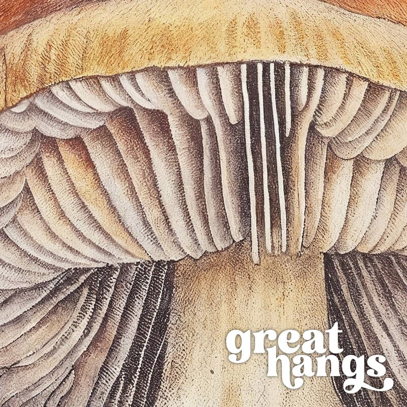 Closeup view of An art deco pastel pencil illustration, mushrooms