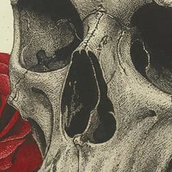 Skull Art | Still Life Wall Art | Gothic Print | White, Black, Brown and Red Decor | Gothic Wall Decor | Entryway Digital Download | Grief & Mourning Art | Halloween Wall Art | Autumn Print | Pastel Pencil Illustration