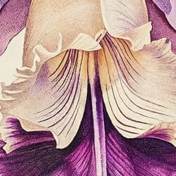 Orchid Digital Download | Floral Wall Decor | Flowers Decor | White and Purple Print | Vintage Wall Art | Living Room Art | Housewarming Digital Download | Mother's Day Wall Decor | Spring Decor | Colored Pencil Illustration