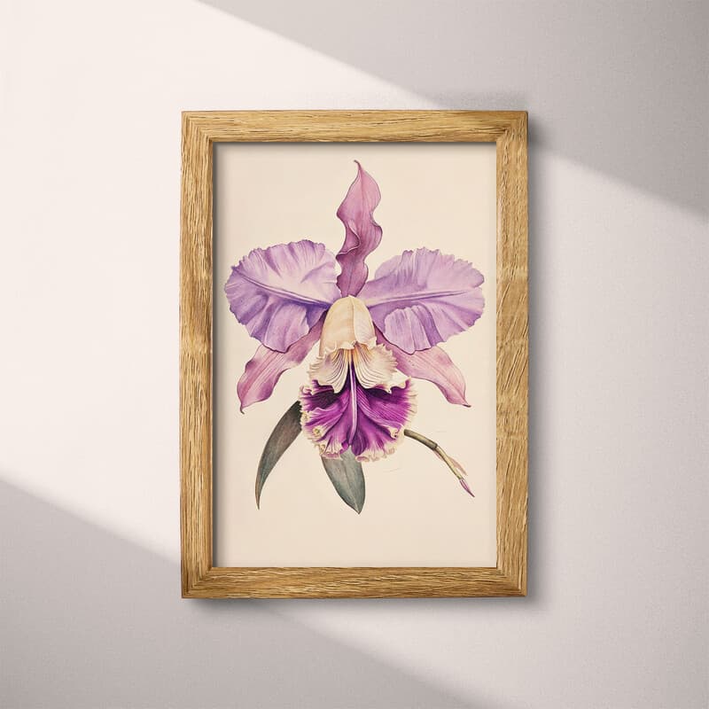 Full frame view of A vintage colored pencil illustration, an orchid flower