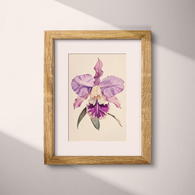 Matted frame view of A vintage colored pencil illustration, an orchid flower