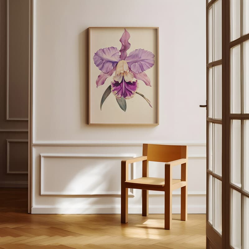 Room view with a full frame of A vintage colored pencil illustration, an orchid flower