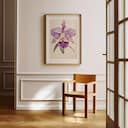 Room view with a matted frame of A vintage colored pencil illustration, an orchid flower