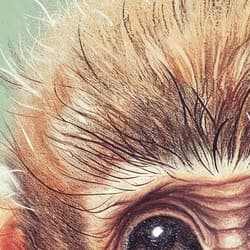 Monkey Digital Download | Animal Wall Decor | Animals Decor | Green, Purple, Brown, White and Black Print | Chibi Wall Art | Kids Art | Baby Shower Digital Download | Spring Wall Decor | Colored Pencil Illustration