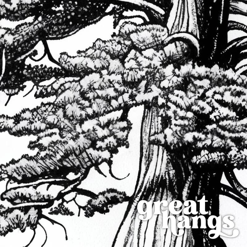 Closeup view of A botanical pencil sketch, a cypress tree