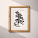 Matted frame view of A botanical pencil sketch, a cypress tree