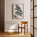 Room view with a full frame of A botanical pencil sketch, a cypress tree