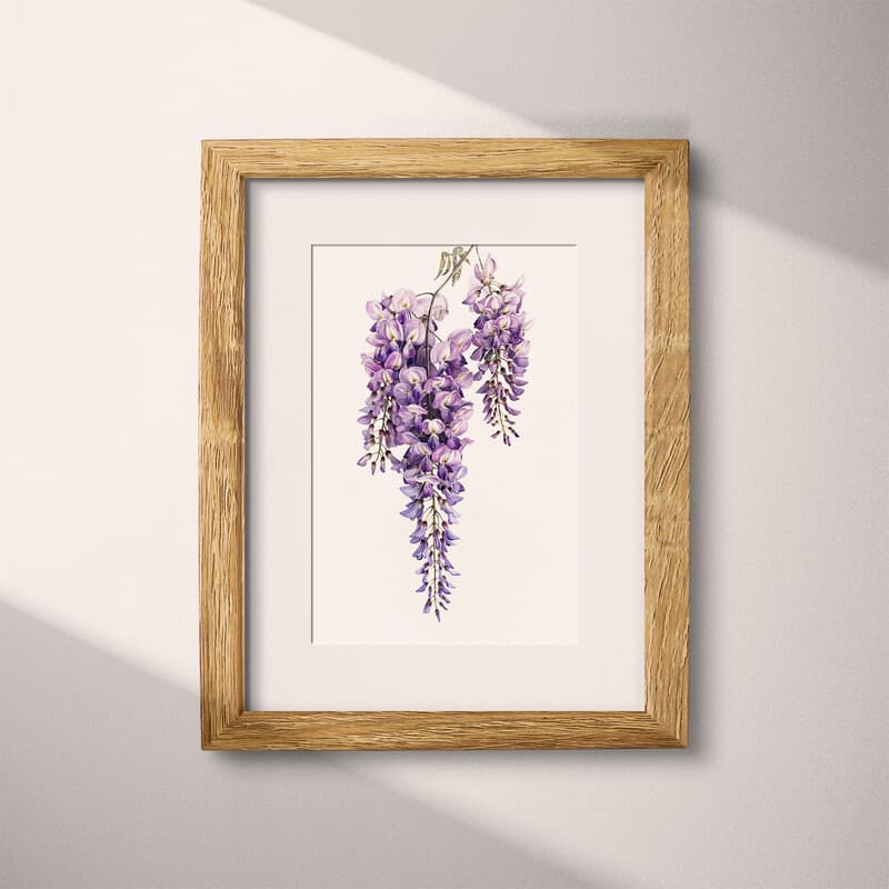 Matted frame view of A rustic colored pencil illustration, a wisteria flower
