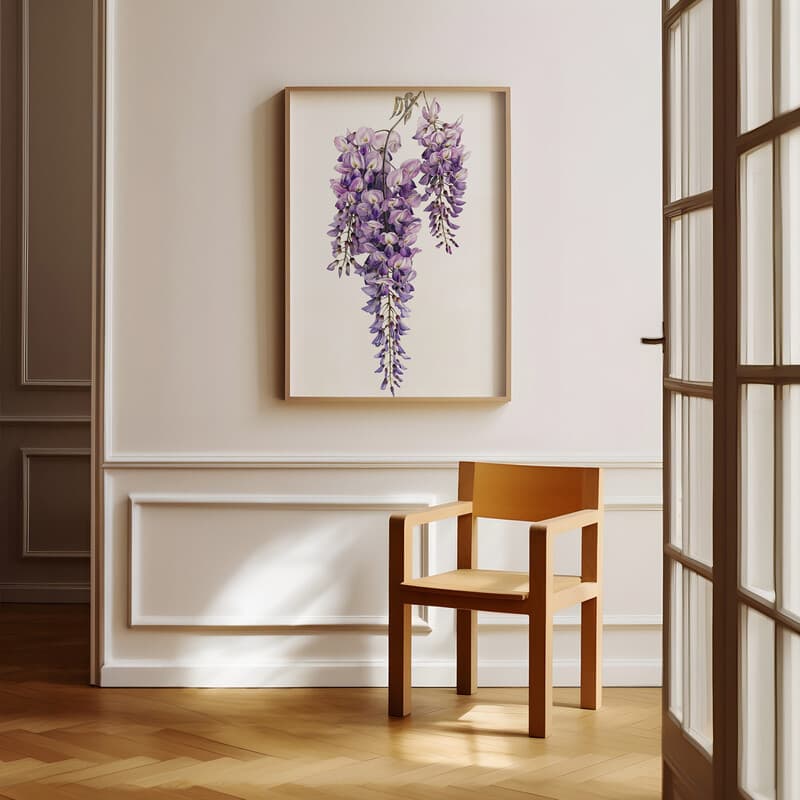 Room view with a full frame of A rustic colored pencil illustration, a wisteria flower