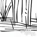 Closeup view of A minimalist pencil sketch, a cactus