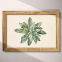 Full frame view of A botanical pastel pencil illustration, an herb plant