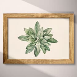 Herb Plant Digital Download | Botanical Wall Decor | Botanical Decor | White, Green and Black Print | Botanical Wall Art | Kitchen & Dining Art | Housewarming Digital Download | Spring Wall Decor | Pastel Pencil Illustration