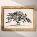 Full frame view of A vintage graphite sketch, a juniper tree