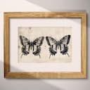 Matted frame view of A vintage graphite sketch, butterflies