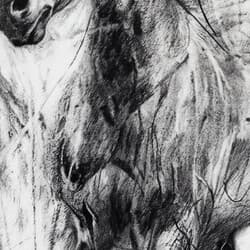 Horse Art | Animal Wall Art | Animals Print | Gray and Black Decor | Farmhouse Wall Decor | Living Room Digital Download | Housewarming Art | Autumn Wall Art | Graphite Sketch