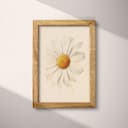 Full frame view of A vintage pastel pencil illustration, a daisy flower
