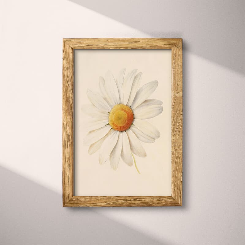 Full frame view of A vintage pastel pencil illustration, a daisy flower
