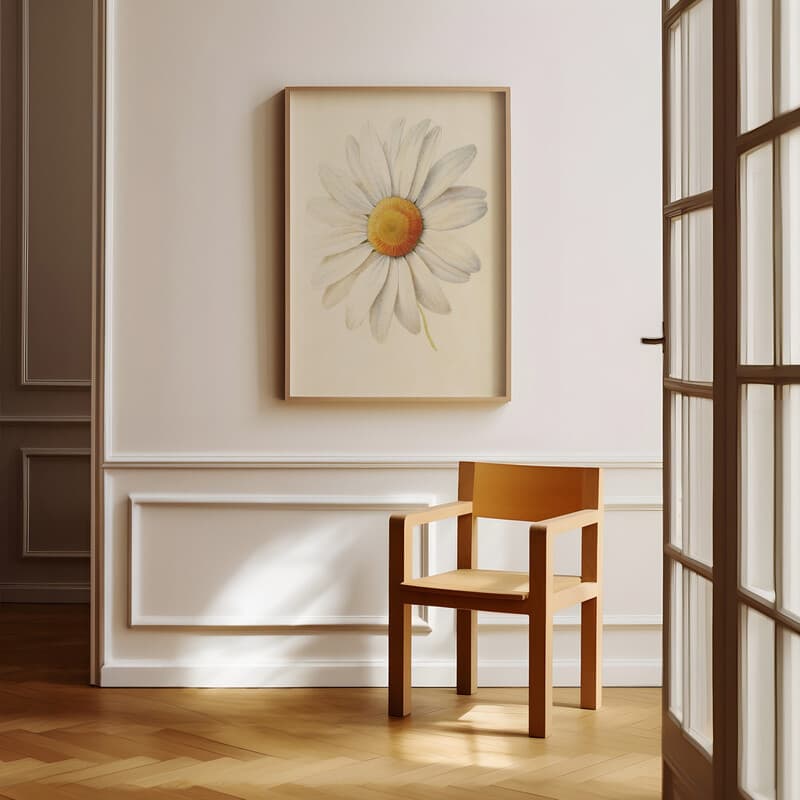 Room view with a full frame of A vintage pastel pencil illustration, a daisy flower