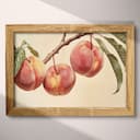 Full frame view of A farmhouse pastel pencil illustration, peaches hanging from a branch, closeup view