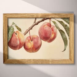 Peaches Digital Download | Fruit Wall Decor | Food & Drink Decor | Beige, Green, Black and Red Print | Farmhouse Wall Art | Kitchen & Dining Art | Housewarming Digital Download | Summer Wall Decor | Pastel Pencil Illustration