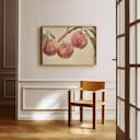 Room view with a full frame of A farmhouse pastel pencil illustration, peaches hanging from a branch, closeup view