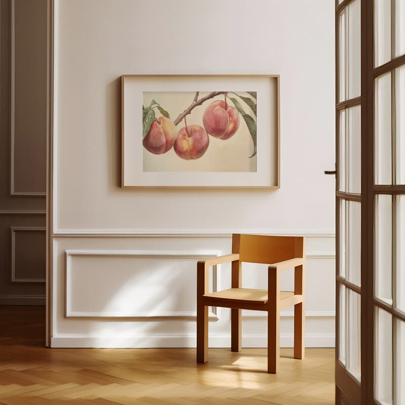 Room view with a matted frame of A farmhouse pastel pencil illustration, peaches hanging from a branch, closeup view