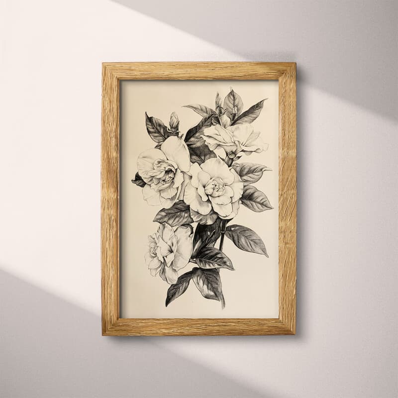 Full frame view of A vintage charcoal sketch, gardenias