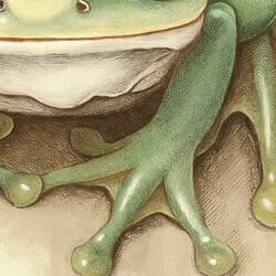 Frog Art | Animal Wall Art | Animals Print | White and Brown Decor | Chibi Wall Decor | Kids Digital Download | Baby Shower Art | Easter Wall Art | Spring Print | Pastel Pencil Illustration