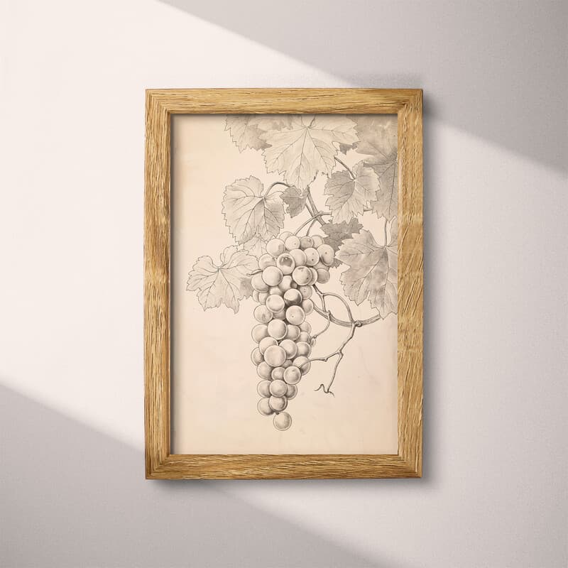 Full frame view of A vintage graphite sketch, grapes on a vine