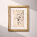 Matted frame view of A vintage graphite sketch, grapes on a vine