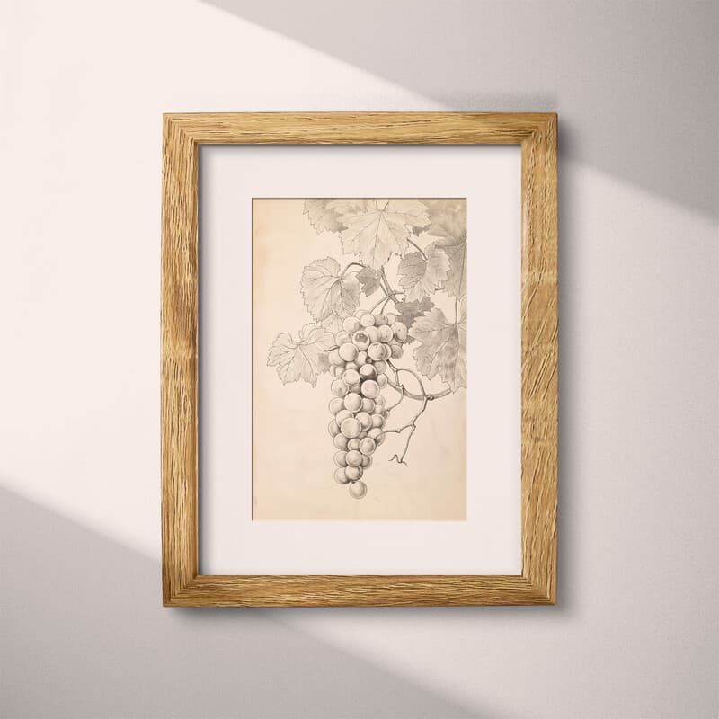 Matted frame view of A vintage graphite sketch, grapes on a vine