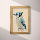 Full frame view of A vintage pastel pencil illustration, a blue jay