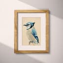 Matted frame view of A vintage pastel pencil illustration, a blue jay