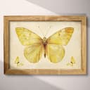 Full frame view of A french country pastel pencil illustration, yellow butterflies