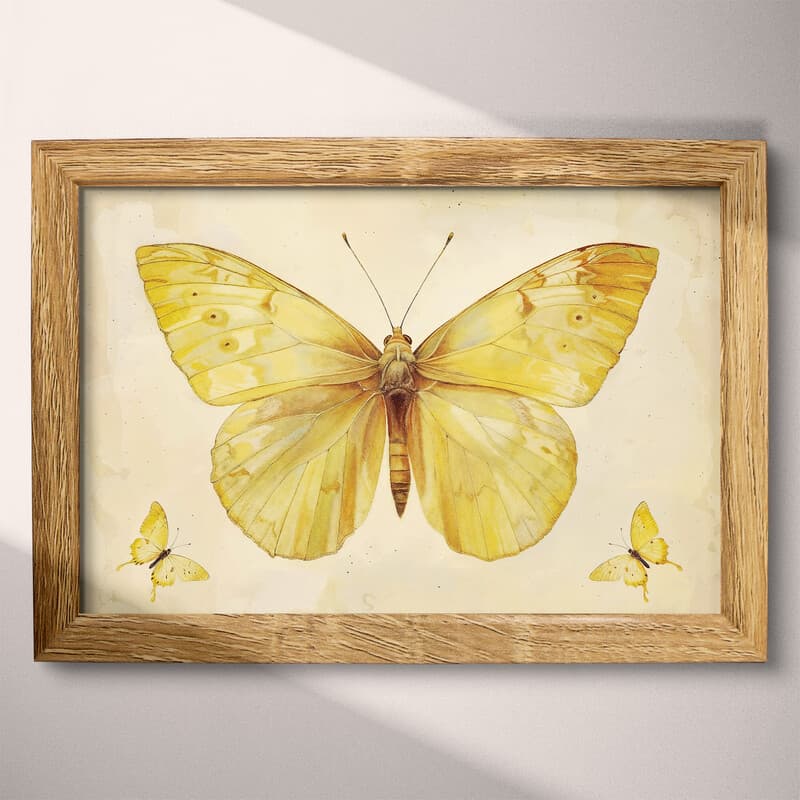 Full frame view of A french country pastel pencil illustration, yellow butterflies