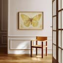 Room view with a full frame of A french country pastel pencil illustration, yellow butterflies