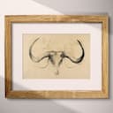 Matted frame view of A vintage graphite sketch, bull horns