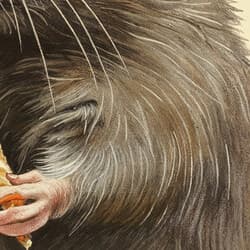 Rat Art | Animal Wall Art | Animals Print | Beige, Brown, Orange and Black Decor | Contemporary Wall Decor | Game Room Digital Download | Bachelor Party Art | Autumn Wall Art | Pastel Pencil Illustration