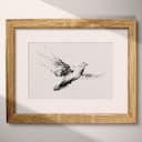 Matted frame view of A vintage graphite sketch, a dove flying in the air