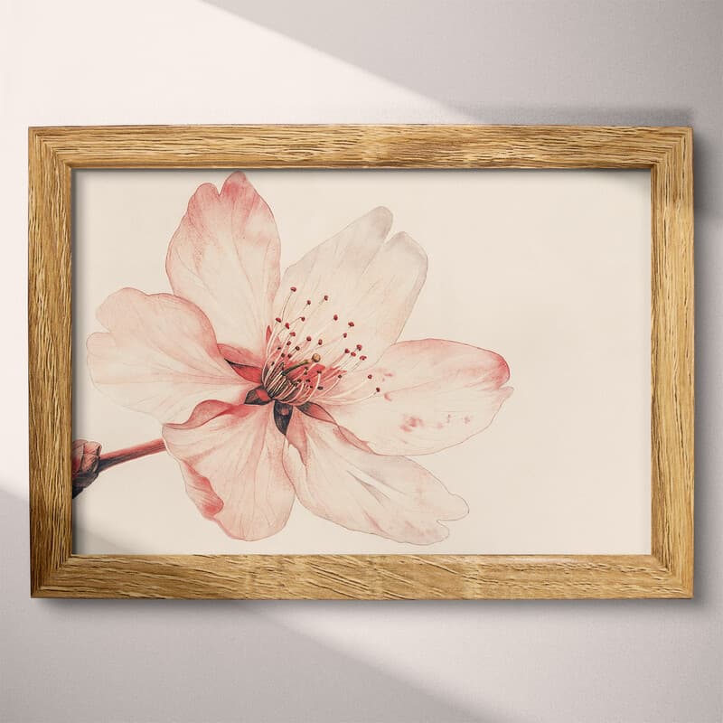 Full frame view of A japandi pastel pencil illustration, a cherry blossom