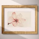 Matted frame view of A japandi pastel pencil illustration, a cherry blossom