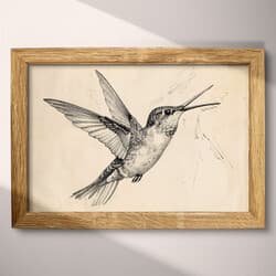 Hummingbird Digital Download | Wildlife Wall Decor | Animals Decor | White, Black and Gray Print | Vintage Wall Art | Living Room Art | Housewarming Digital Download | Spring Wall Decor | Charcoal Sketch