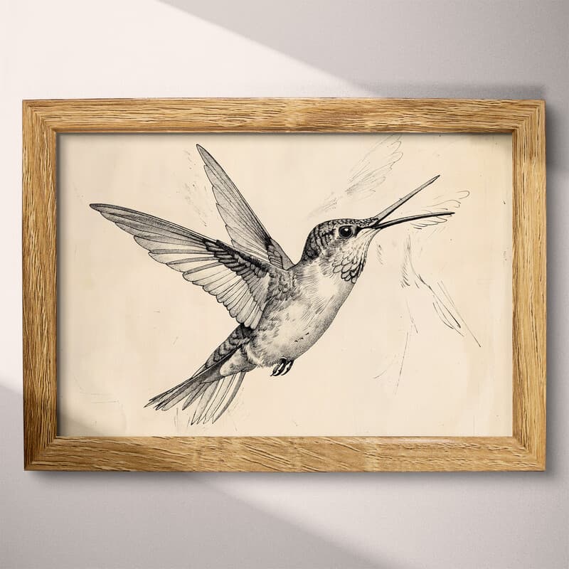 Full frame view of A vintage charcoal sketch, a hummingbird